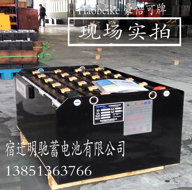 <b>D400 诺力叉车48V400AH 48V60</b>